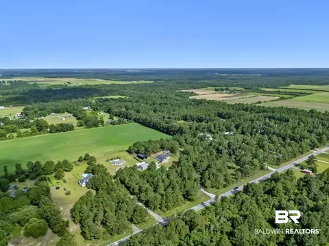 View/Area - 17153 County Road 87, Elberta, AL 36530 photo 18 of 27