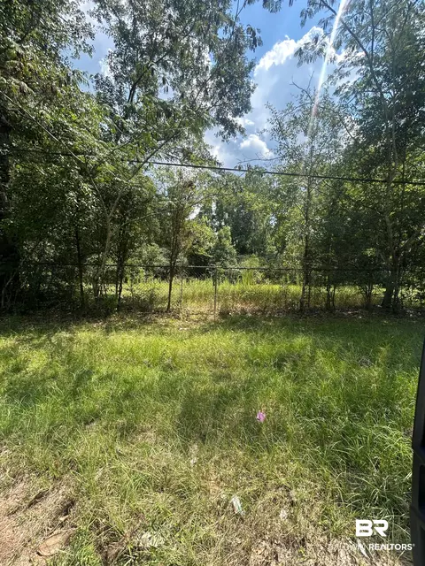 0 Carroll Ave, Eight Mile, AL 36513 photo 4
