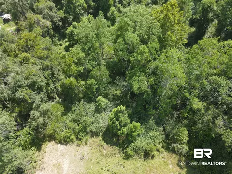 0 Carroll Ave, Eight Mile, AL 36513 photo 6