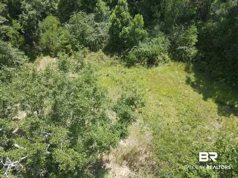 0 Carroll Ave, Eight Mile, AL 36513 photo 3