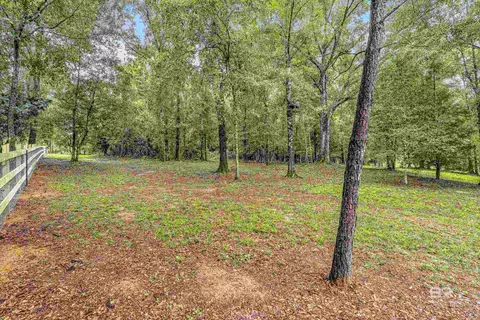 0 Mosley Rd, Stapleton, AL 36578 photo 19