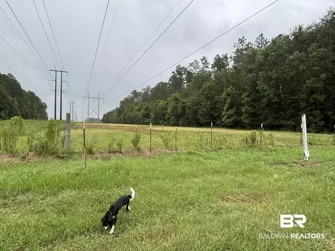 lot1 County Road 48, Robertsdale, AL 36567