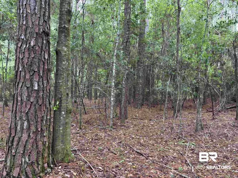 lot5 County Road 48, Robertsdale, AL 36567