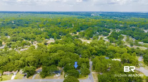 View/Area - 3109 Grishilde Dr, Mobile, AL 36693 photo 6 of 10