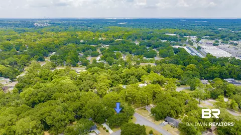 View/Area - 3109 Grishilde Dr, Mobile, AL 36693 photo 7 of 10