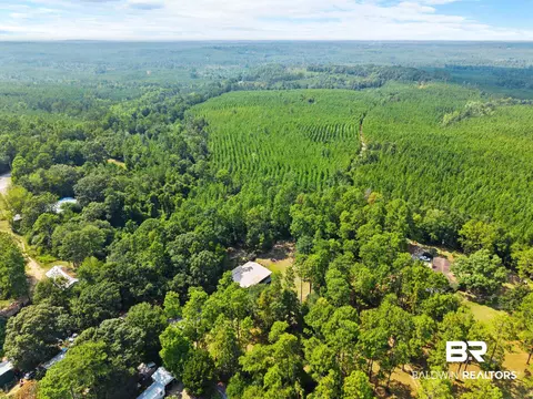 View/Area - 12457 Raymond Melton Rd, Stapleton, AL 36578 photo 4 of 4