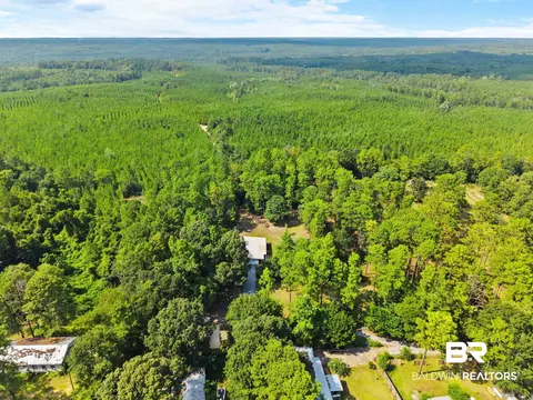 View/Area - 12457 Raymond Melton Rd, Stapleton, AL 36578 photo 3 of 4