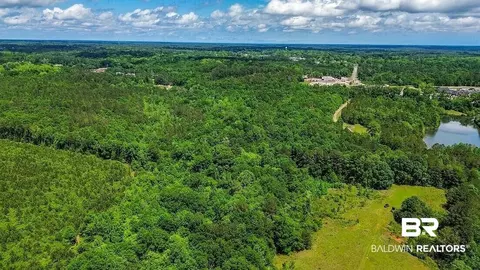 0 Loree Road Loree Rd, Evergreen, AL 36401 photo 7