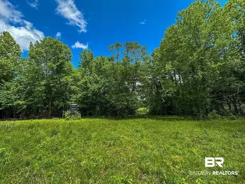 0 Loree Road Loree Rd, Evergreen, AL 36401 photo 5