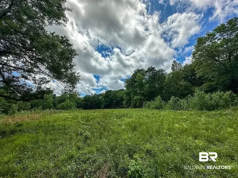 0 Loree Road Loree Rd, Evergreen, AL 36401 photo 2