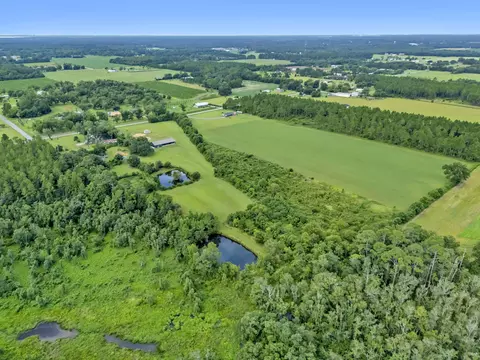 View/Area - 26943 Frank Rd, Elberta, AL 36530 photo 33 of 36