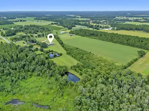 View/Area - 26943 Frank Rd, Elberta, AL 36530 photo 34 of 36