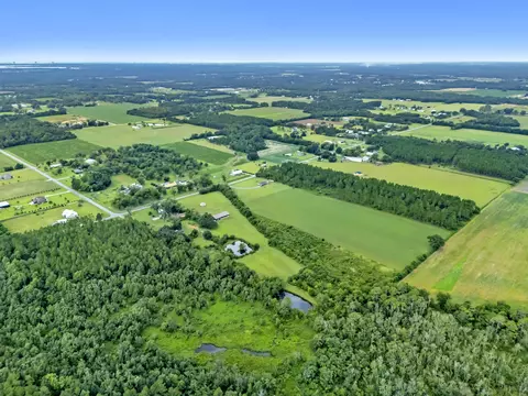 View/Area - 26943 Frank Rd, Elberta, AL 36530 photo 9 of 36
