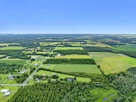 View/Area - 26943 Frank Rd, Elberta, AL 36530 photo 21 of 36