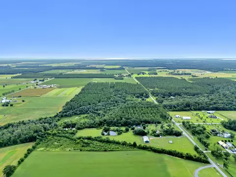 View/Area - 26943 Frank Rd, Elberta, AL 36530 photo 13 of 36