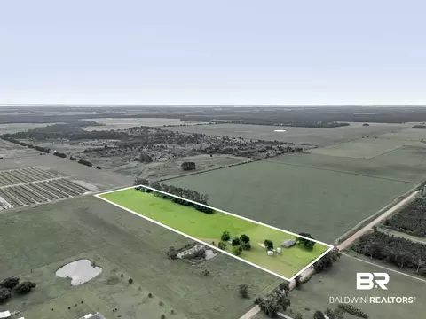 View/Area - 15850 Boros Rd, Elberta, AL 36530 photo 17 of 18