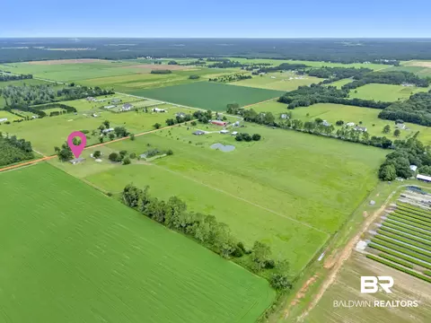 View/Area - 15850 Boros Rd, Elberta, AL 36530 photo 8 of 18