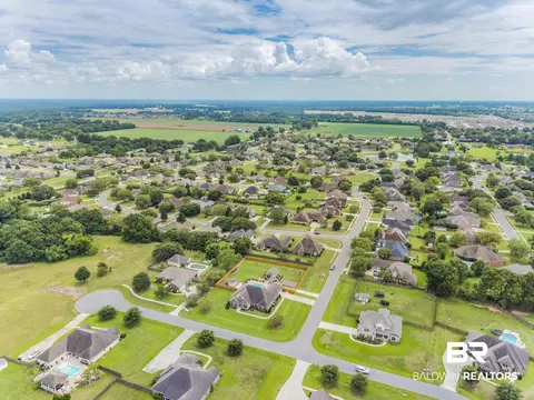 View/Area - 11442 Elysian Cir, Daphne, AL 36526 photo 8 of 8
