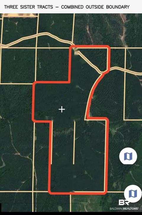 0 Martin Rd, Greensboro, AL 36744