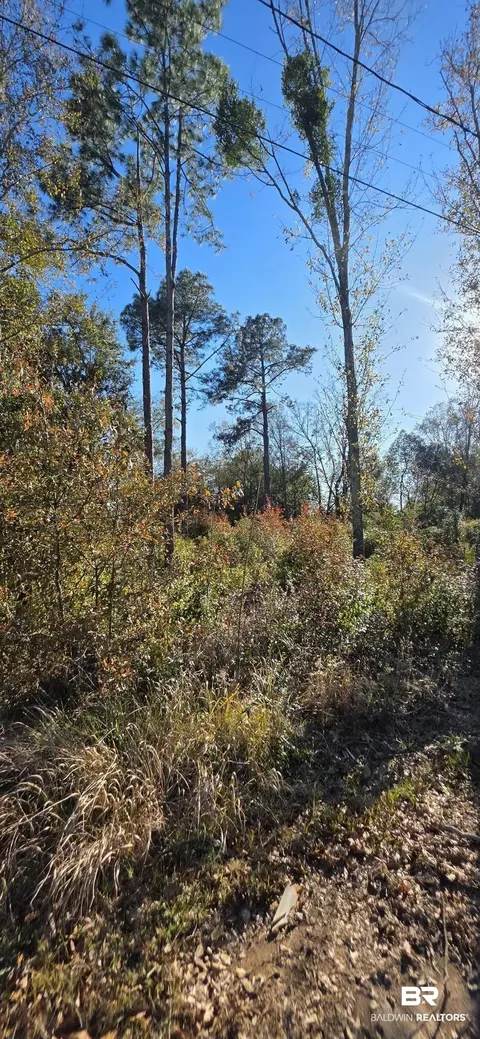 0 2nd Ave, Foley, AL 36535 photo 5