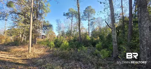 0 2nd Ave, Foley, AL 36535 photo 3
