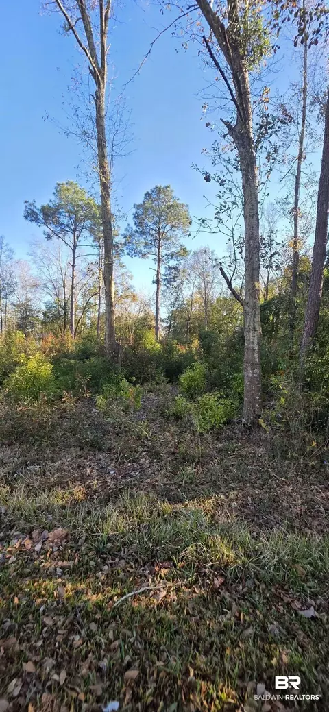 0 2nd Ave, Foley, AL 36535 photo 2
