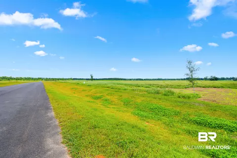 0 Sunflower Dr, Elberta, AL 36530 photo 21