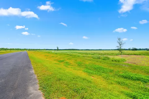 0 Angus Ln, Elberta, AL 36530 photo 22