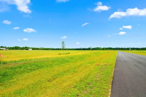 0 Angus Ln, Elberta, AL 36530 photo 28