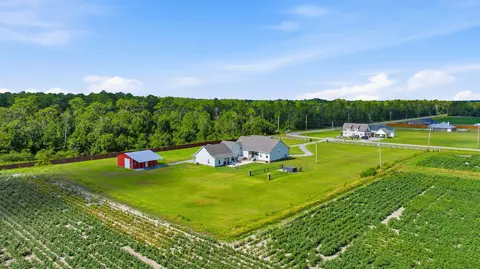 View/Area - 8794 Baptist Cp, Elberta, AL 36530 photo 6 of 15