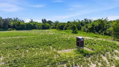 Other - 8794 Baptist Cp, Elberta, AL 36530 photo 18 of 18