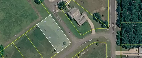 17193 S Chapel Grv, Loxley, AL