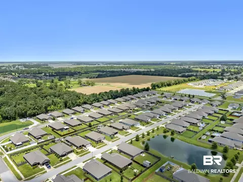View/Area - 9355 Eiland Dr, Foley, AL 36535 photo 6 of 9