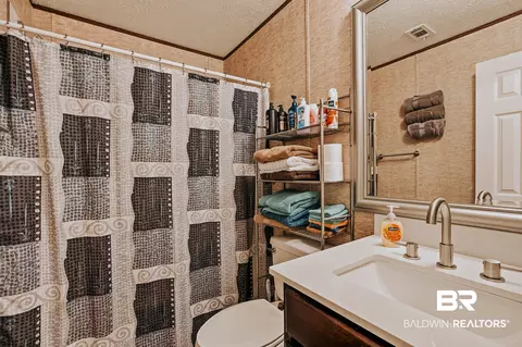 Bath - 25015 Pompano Dr, Elberta, AL 36530 photo 1 of 3