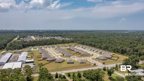 View/Area - 19178 Maple Crest Loop, Foley, AL 36535 photo 11 of 12