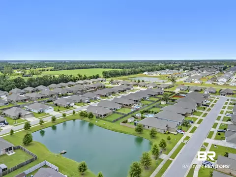 View/Area - 9388 Eiland Dr, Foley, AL 36535 photo 9 of 10
