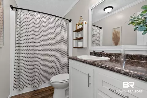 Bath - 12185 Celeste Rd, Chunchula, AL 36521 photo 6 of 10