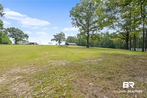 Exterior - 12185 Celeste Rd, Chunchula, AL 36521 photo 4 of 10
