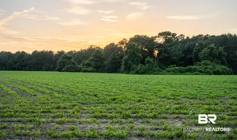 0 Bromely Rd, Stapleton, AL 36578 photo 47
