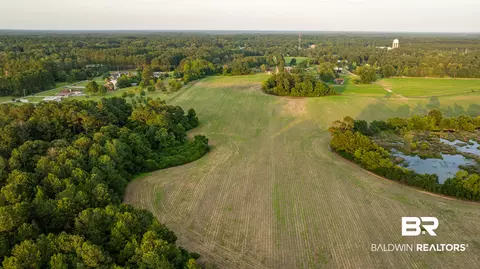 0 Bromely Rd, Stapleton, AL 36578 photo 7