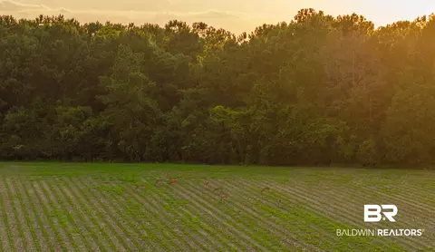 0 Bromely Rd, Stapleton, AL 36578 photo 14