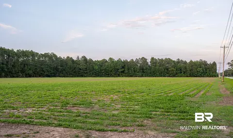 0 Bromely Rd, Stapleton, AL 36578 photo 23