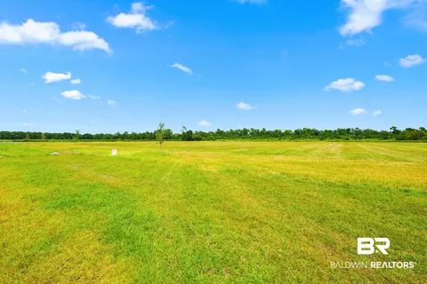 0 Sunflower Dr, Elberta, AL 36530 photo 13