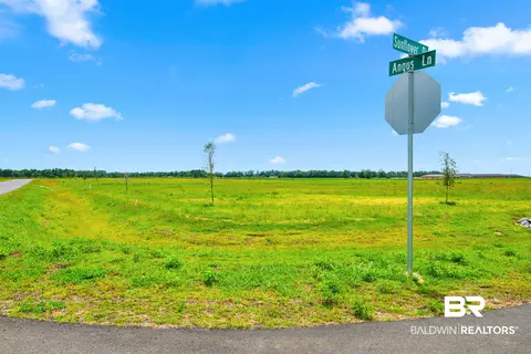 0 Sunflower Dr, Elberta, AL 36530 photo 16