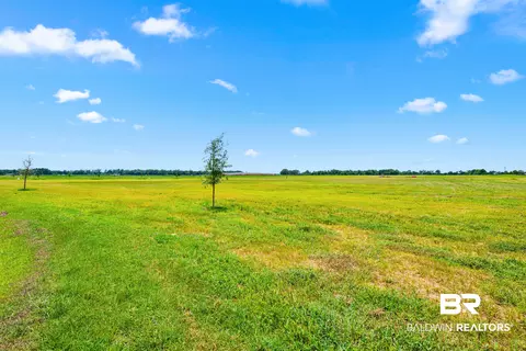 0 Sunflower Dr, Elberta, AL 36530 photo 11