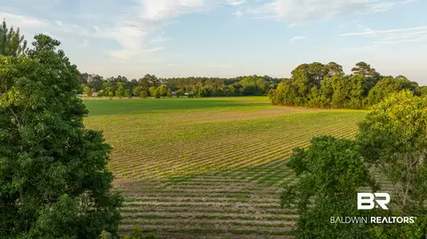 0 Pine Rd, Stapleton, AL 36578 photo 29