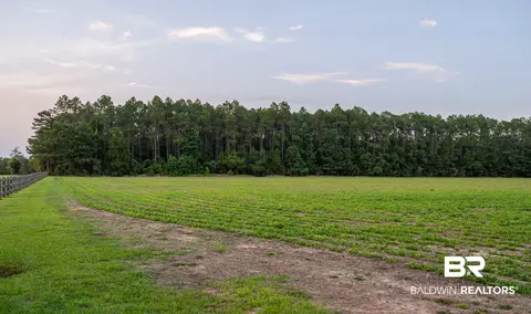 0 Pine Rd, Stapleton, AL 36578 photo 38