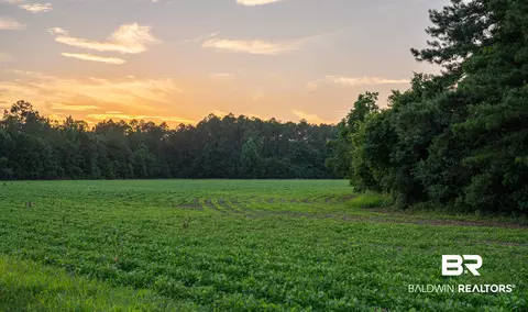 0 Pine Rd, Stapleton, AL 36578 photo 33