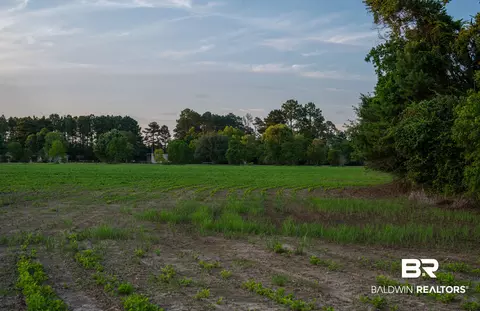 0 Pine Rd, Stapleton, AL 36578 photo 42