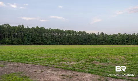 0 Pine Rd, Stapleton, AL 36578 photo 21